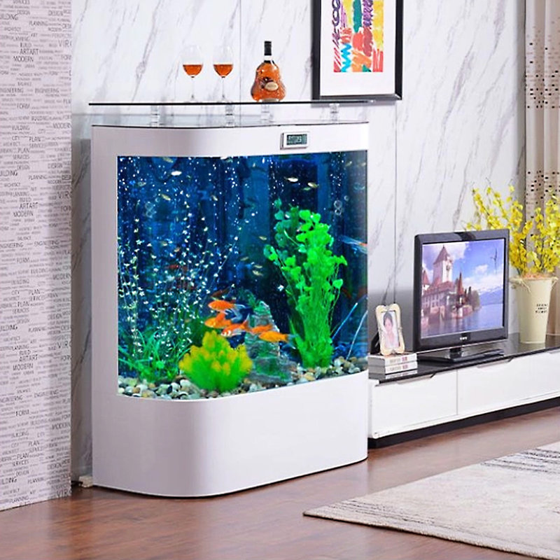 Aquarium 70-80 gallons, 80 gallons (H 54,33 po x l 39,37 po x P 19,69 po) 