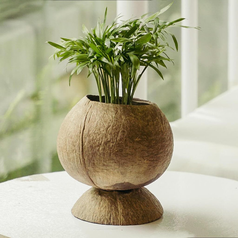 Pot à fleurs en bois, 2
