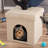 PETMAKER Cat House – Collapsible Multipurpose Small Dog or Cat Ottoman with Footrest, Cushioned Top, and Interior Pillow-70755090