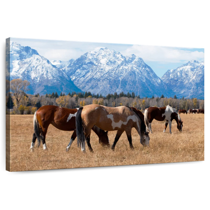Brampt Grazing Grand Teton Horses