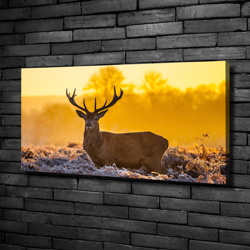 Deer Sunrise - No Frame Print on Glass, Canvas, 50cm H x 100cm W x 2cm D