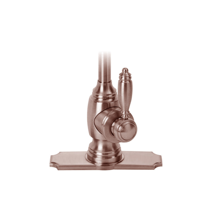 Traditional 6" Escutcheon Plate, American Bronze