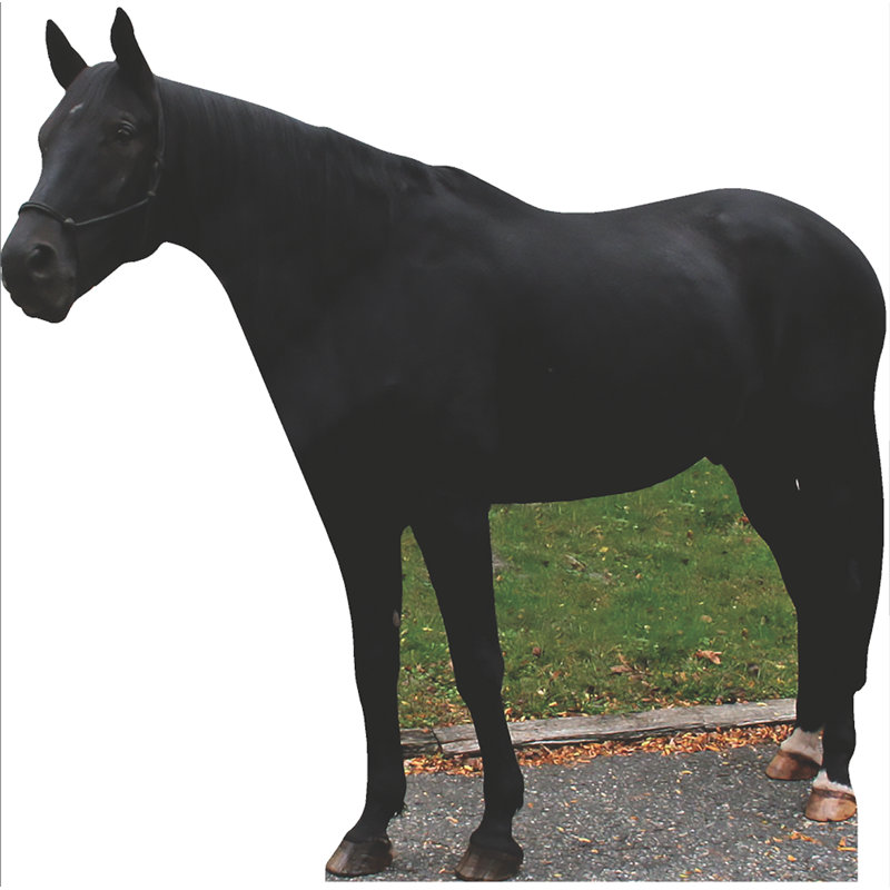 Horse Cardboard Standup