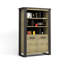 Tarun 2 -Door 4 -Shelf