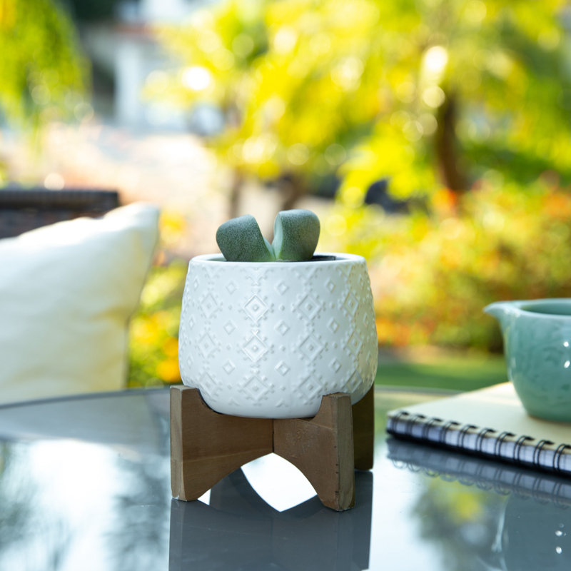 Zainab Ceramic Pot Planter, White