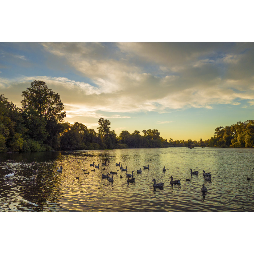 Sonnenuntergang am Willamette River von Sam Camp - Kunstdrucke auf Leinwand ohne Rahmen