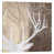 Toile tendue