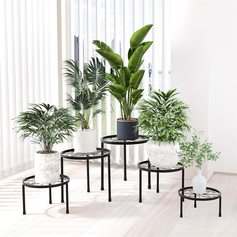 Plant Stand - Set of 5, Black