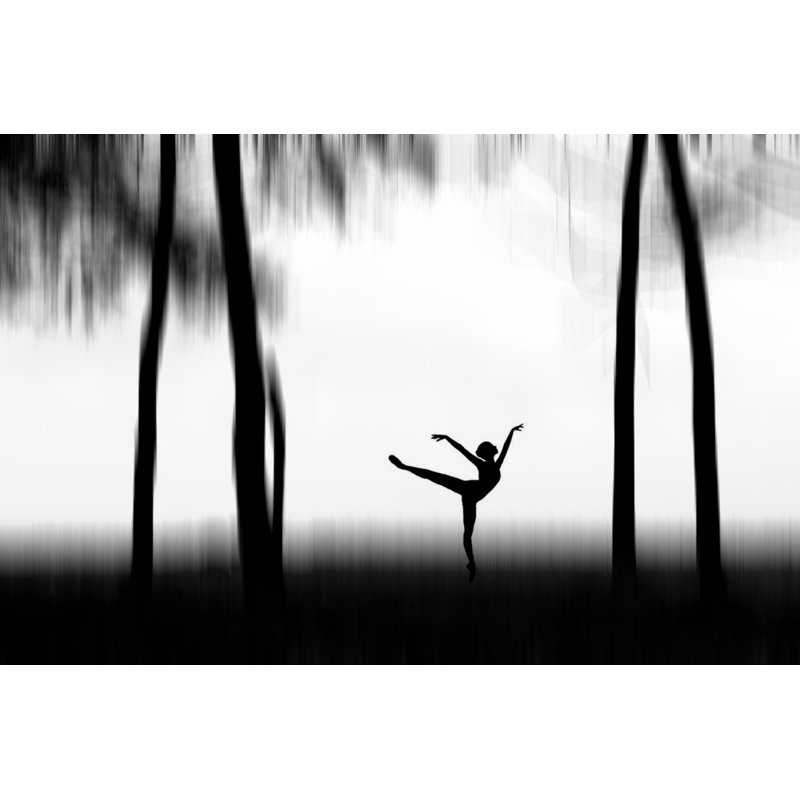 Wrapped Canvas Print, 76.2 cm H x 50.8 cm W