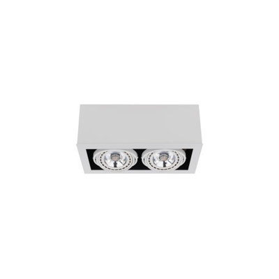 Erenest Flush Mount
