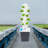 30-hole Garden Hydroponic Growing Kit