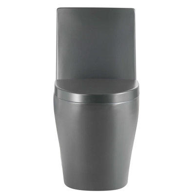 Dual-Flush Elongated One-Piece Toilet with High Efficiency Flush