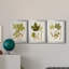 «Antique Leaves IV», ensemble de 3 impressions sur toile encadrées-963213014-963213009