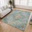 Tapis lavable à la machine intérieur / extérieur ACN2782 Global Chantille-1459905952-1459905960