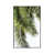White Floater Framed is unavailable