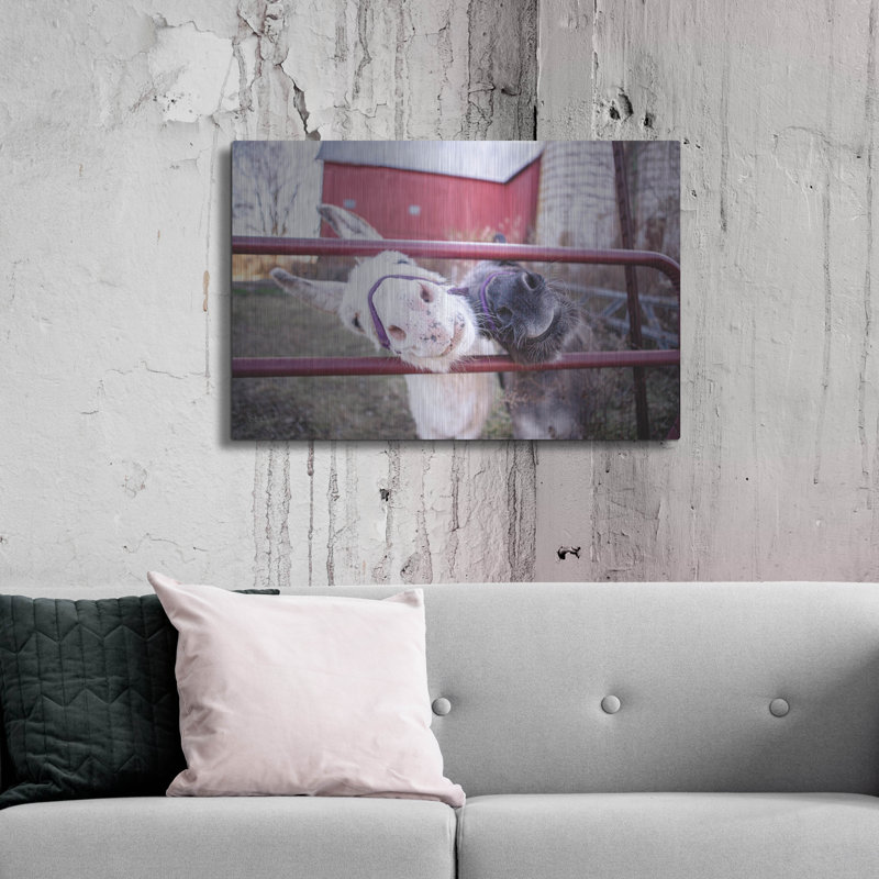 «Hey Donkeys II» par Donnie Quillen