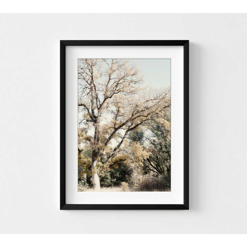 Décoration murale arbre doré d'automne doré rustique, H 8 po x l 10 po, Impression encadrée avec passe-partout, Noir