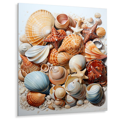 Décoration de plage plage photo coquillage beauté III - animaux en métal