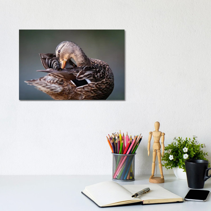 Madame by Mateusz Piesiak - Wrapped Canvas Print, 20.32cm H x 30.48cm W x 1.905cm D