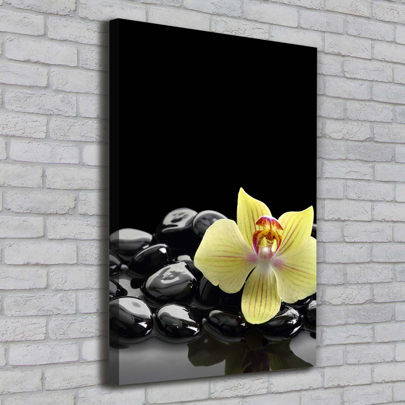Orchid And Stones - Wrapped Canvas Print