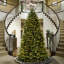 Dunhill Fir Tree with Clear Lights-799160663