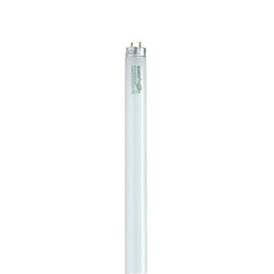 Single 32 Watt 48" Wide T8 Bi Pin Fluorescent Bulb - 2,950 Lumens And 4100K