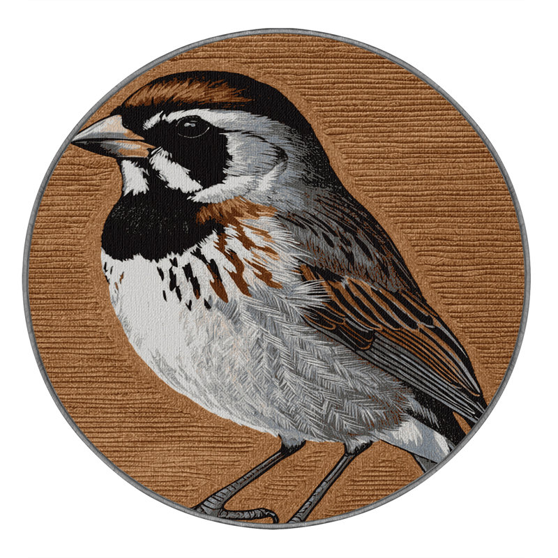  Tapis lavable d'oiseaux moineaux, Rond 3 pi