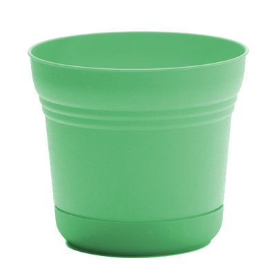 Saturn Traditional Plastic Indoor/Outdoor Round Planter with Saucer