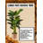 65'' Faux Banana Leaf Tree in Pot