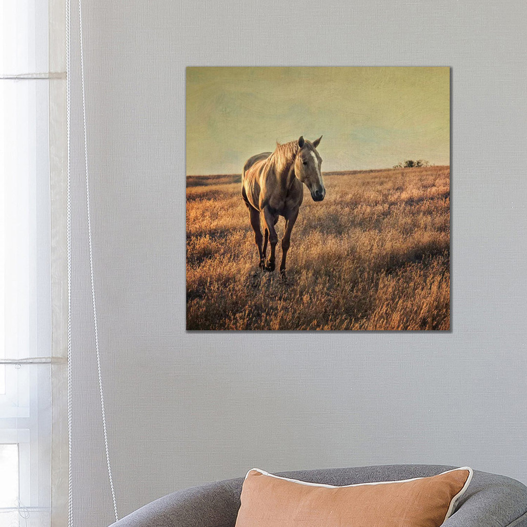 Equine by MScottPhotography - Wrapped Canvas Painting