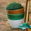 Viva Handmade Planter-379680537-379680542