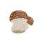 Washable Rug Boletus