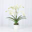 Polysilk Orchid Arrangement In Pot-2030385136-2030385137