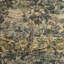 Flemish Tapestry Fabric