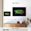 Corbeau arowana-111892042