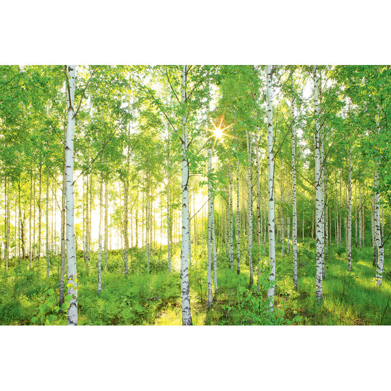 Celestyn Trees Wall Mural