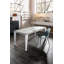 Danele Extendable Metal Base Dining Table