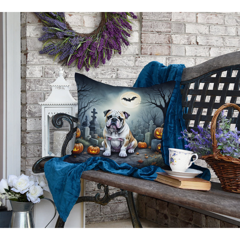  Housse et insert de coussin décoratif en polyester, 18 po x 18 po