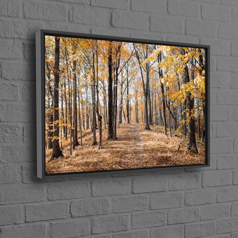 Print on Canvas, Floater Framed Print without Mat, 20 cm H x 30 cm W, Black