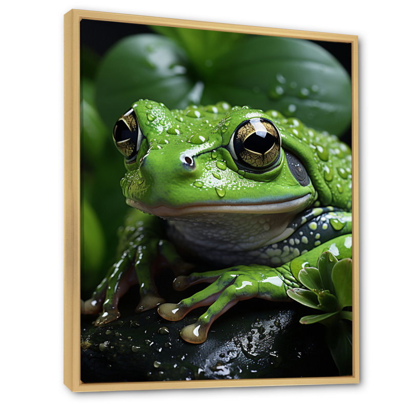 Green Frog Portrait, reproduction d'art sur toile, H 44 po x l 34 po x P 1,5 po, Encadré naturel