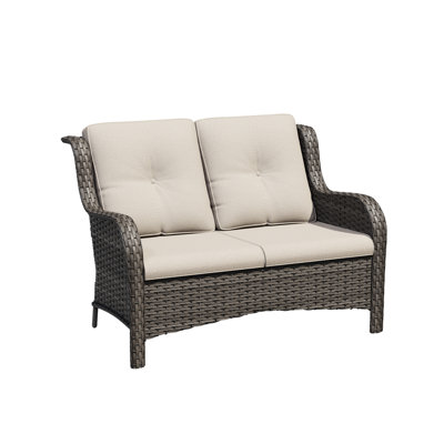 Meikel 49'' Wide Straight Wicker Loveseat with Cushions