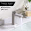 Robinet pour salle de bain à poignée simple avec drain-110563496