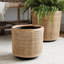 Lyla Dry Basket Planters