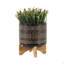 S/2 5/8" GLAZED PLANTER W/ STAND, BLACK