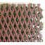 Paravent d'intimité extensible en polyéthylène à feuilles roses H 50 "x l 18"