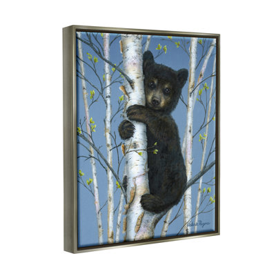 Au-903-Framed " Bear Cub Climbing Birch Tree " by Valerie Rogers