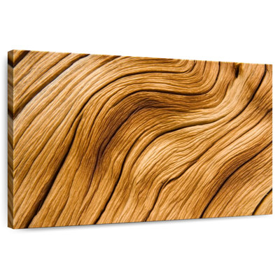 Avery Pine Tree Bark Abstract