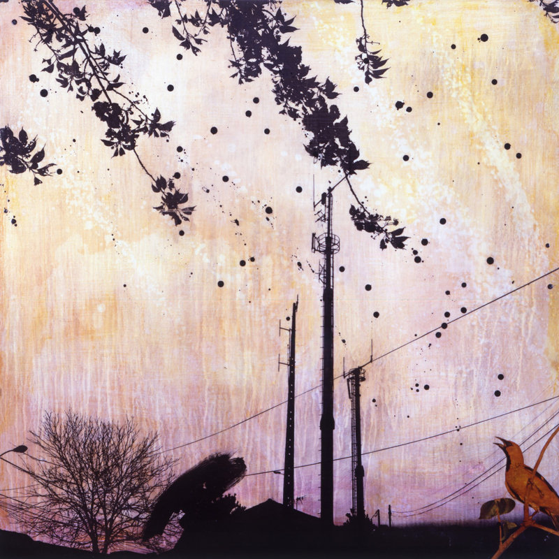 Tracy Silva Barbosa - Wrapped Canvas Print, 122cm H x 122cm W x 3.81cm D