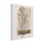 Art mural sur toile Winston Porter Regina Moore Modern Botanical II WAG37829-1004266037