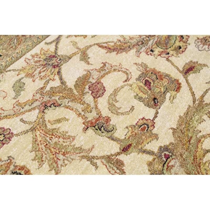 Wool Oriental Area Rug in Ivory